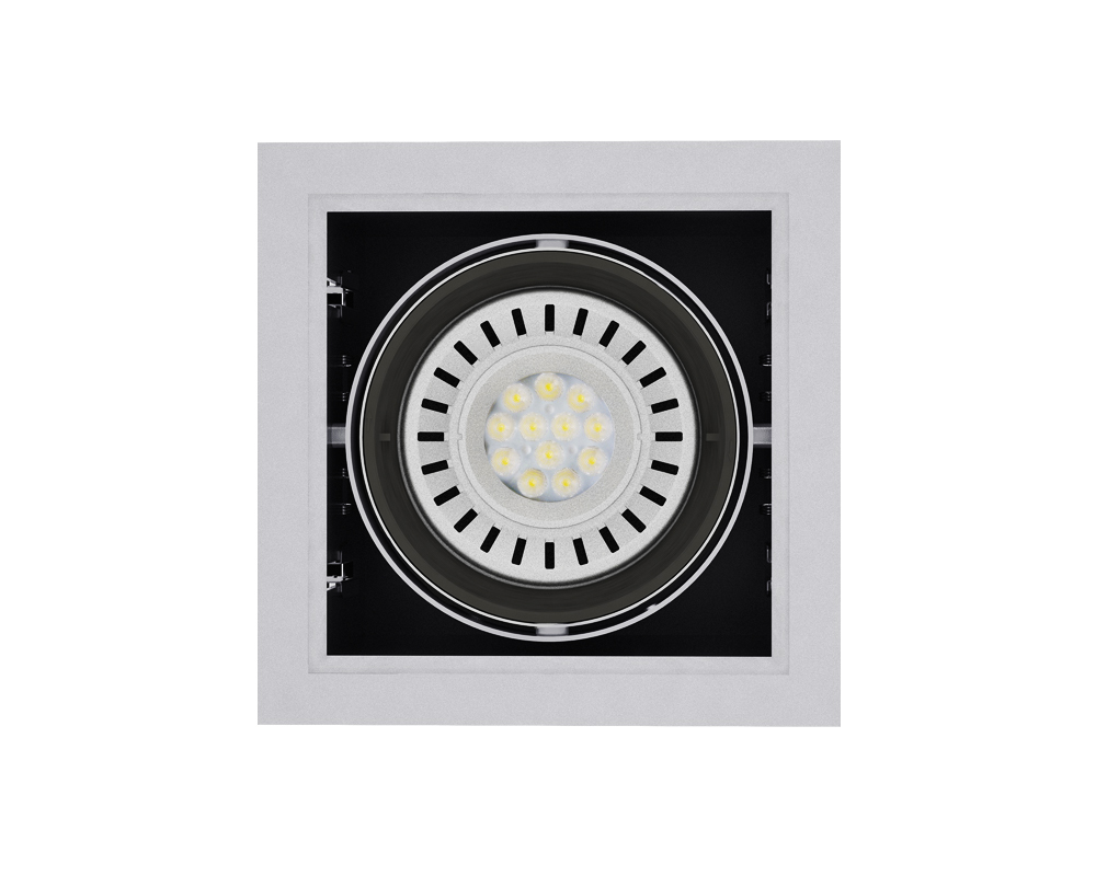 Карданный светильник, встраиваемый GS01 (DW.SR.60.22.WS.) фото 5